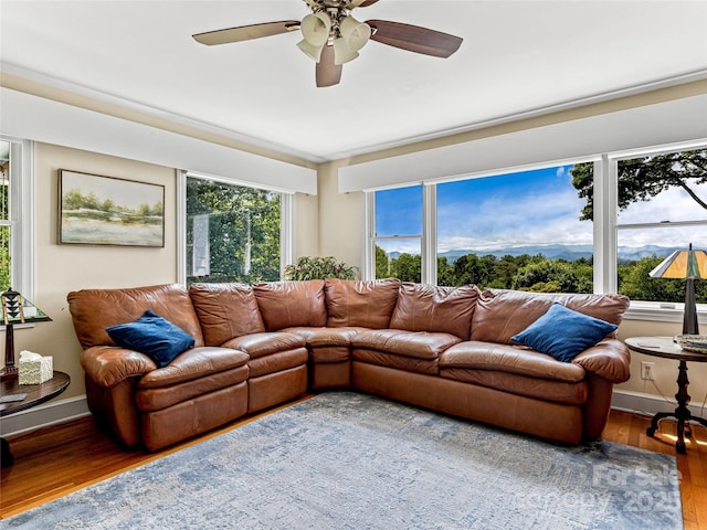 170 Twin Springs Rd, Hendersonville, NC 28792 - living area featuring wood finished floors and ceiling fan