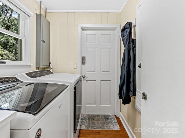 170 Twin Springs Rd, Hendersonville, NC 28792 - laundry area with independent washer and dryer, electric panel, ornamental molding, and wood finished floors