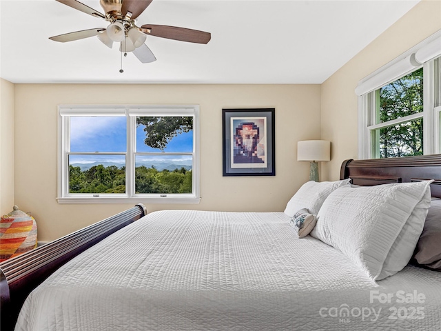 170 Twin Springs Rd, Hendersonville, NC 28792 - bedroom with ceiling fan