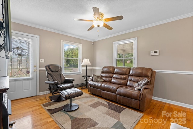 1040 Stagecoach Trl, Lenoir, NC 28645 - living area featuring light wood finished floors, a ceiling fan, and ornamental molding