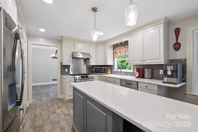310 25th Ave NW, Hickory, NC 28601 - kitchen featuring stainless steel appliances, under cabinet range hood, ornamental molding, recessed lighting, and light wood-style flooring
