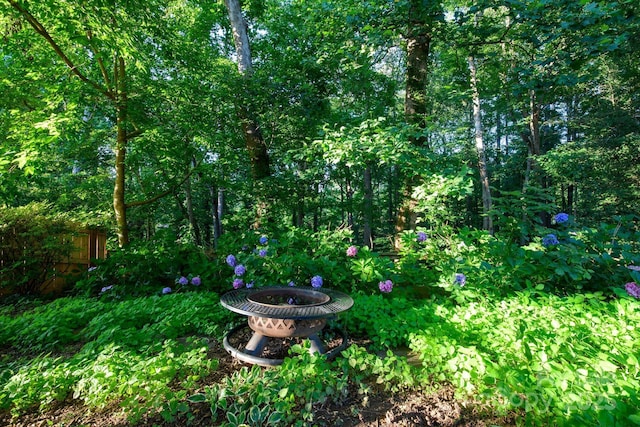 310 25th Ave NW, Hickory, NC 28601 - view of yard