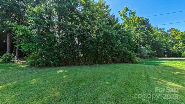 11514 Hattie Little St, Charlotte, NC 28269 - photo 30