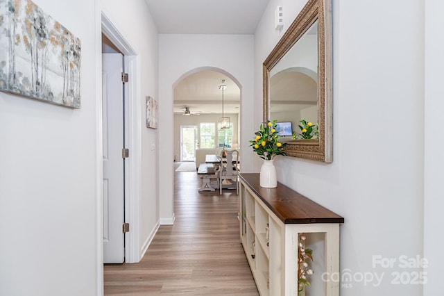 4268 Coachwhip Ave, Lancaster, SC 29720 - hallway featuring light wood finished floors and arched walkways