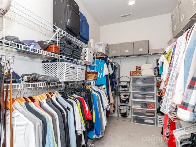 4268 Coachwhip Ave, Lancaster, SC 29720 - walk in closet with carpet