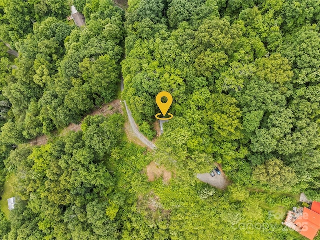 553 Paradise Mountain Rd, Canton, NC 28716 - aerial overview of property's location