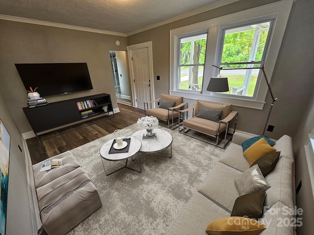 3824 Freedom Dr, Charlotte, NC 28208 - living room featuring wood finished floors, a textured ceiling, and crown molding