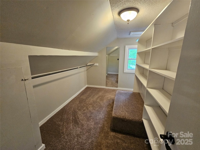 3824 Freedom Dr, Charlotte, NC 28208 - spacious closet featuring carpet and lofted ceiling