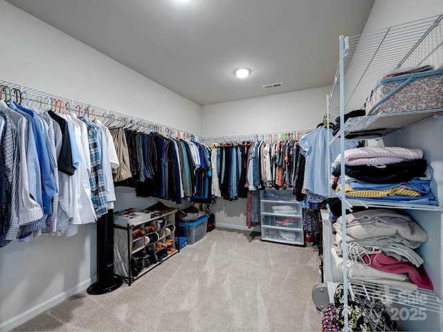 1324 Mona Vale Dr, Huntersville, NC 28078 - spacious closet with carpet floors