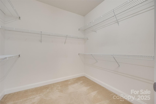 3905 Hounslow Ln, Harrisburg, NC 28075 - spacious closet featuring light colored carpet