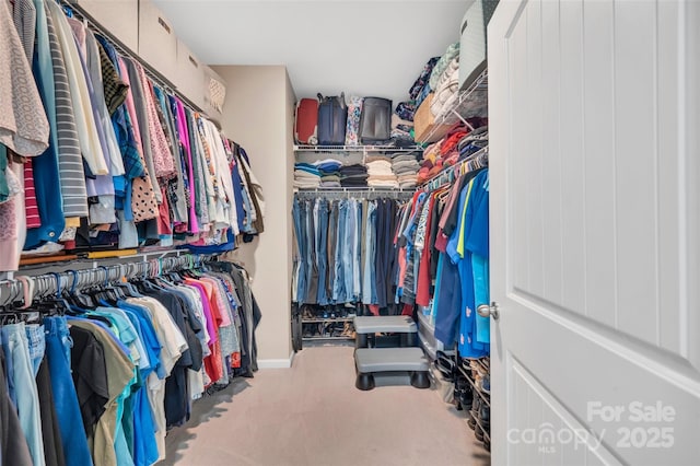 282 Harrison Ln, Locust, NC 28097 - spacious closet with carpet