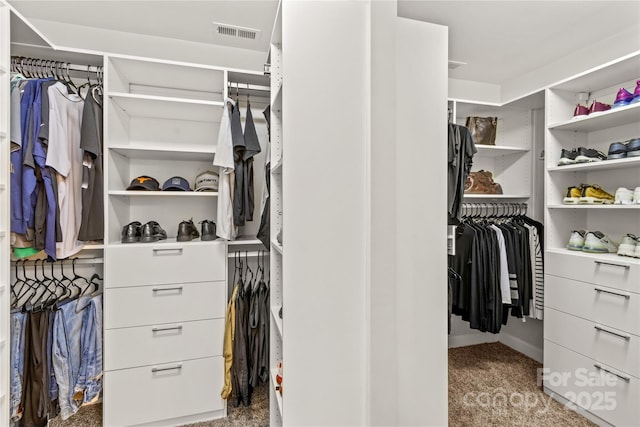 1011 Wadsworth Ln, Indian Trail, NC 28079 - spacious closet with carpet