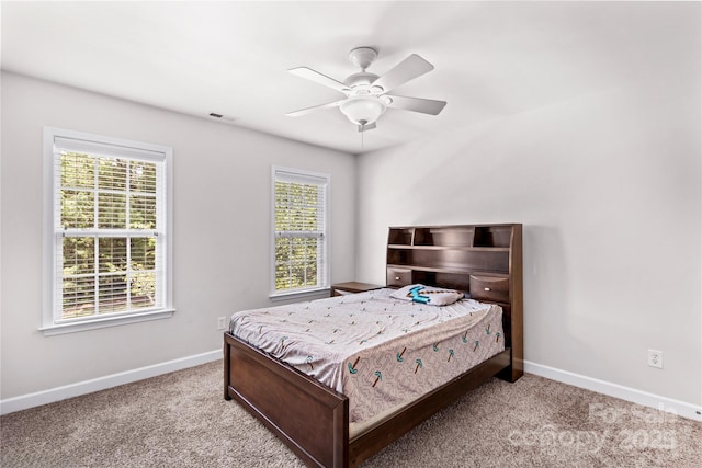 1011 Wadsworth Ln, Indian Trail, NC 28079 - carpeted bedroom featuring multiple windows and a ceiling fan