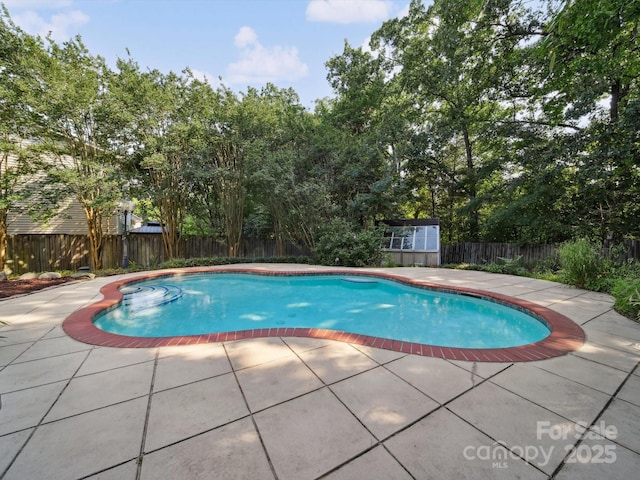 16411 Greybriar Forest Ln, Charlotte, NC 28278 - view of pool with a patio area, a fenced backyard, view of wooded area, and a storage shed
