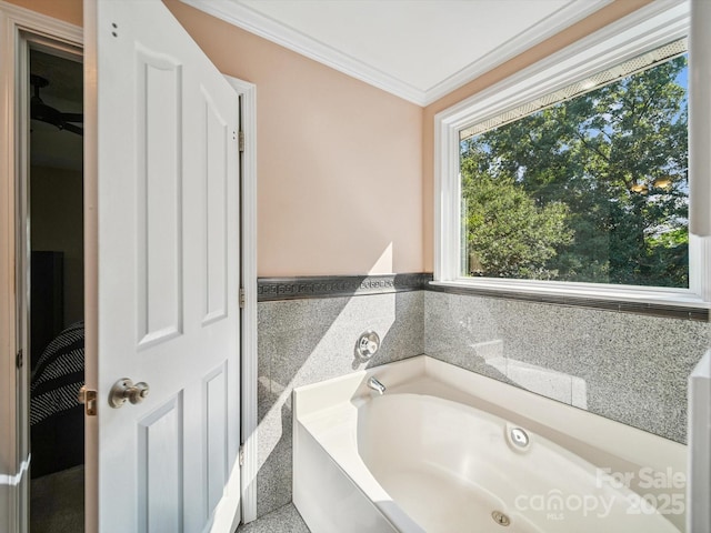 16411 Greybriar Forest Ln, Charlotte, NC 28278 - full bath featuring a garden tub and crown molding