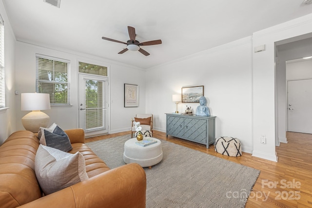 558 Oakland Ave, Charlotte, NC 28204 - photo 6