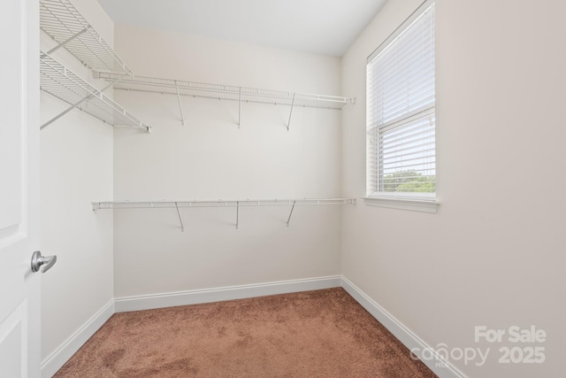 558 Oakland Ave, Charlotte, NC 28204 - photo 14