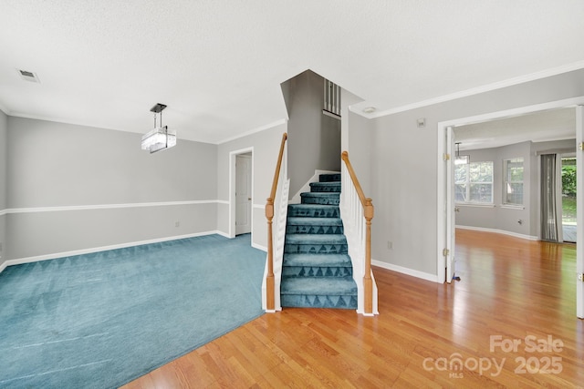 9800 Ashley Farm Dr, Matthews, NC 28105 - photo 23