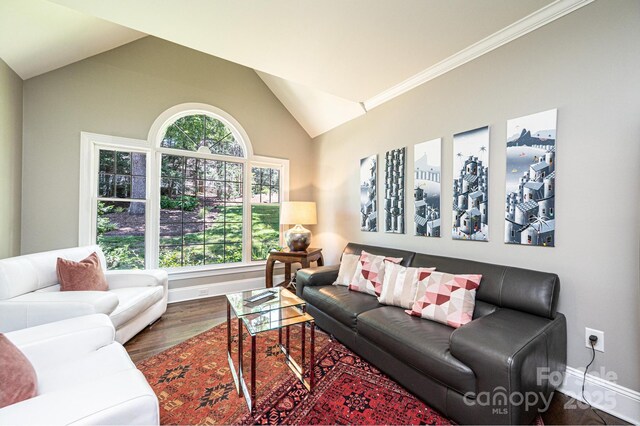 841 16th Avenue Ln NW, Hickory, NC 28601 - living room featuring wood finished floors and lofted ceiling