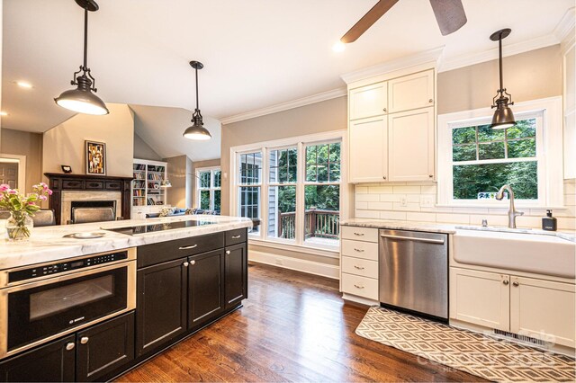 841 16th Avenue Ln NW, Hickory, NC 28601 - kitchen featuring appliances with stainless steel finishes, healthy amount of natural light, a ceiling fan, dark wood-style floors, and crown molding