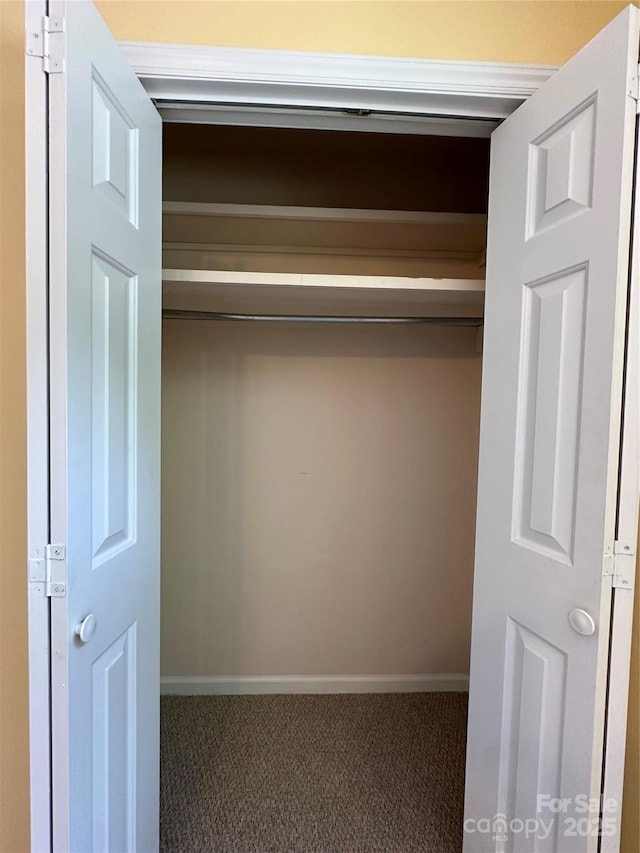 1590 Springpoint Rd Unit B, Rock Hill, SC 29732 - view of closet