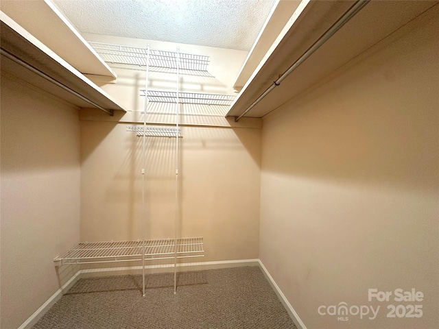 1590 Springpoint Rd Unit B, Rock Hill, SC 29732 - walk in closet featuring carpet floors