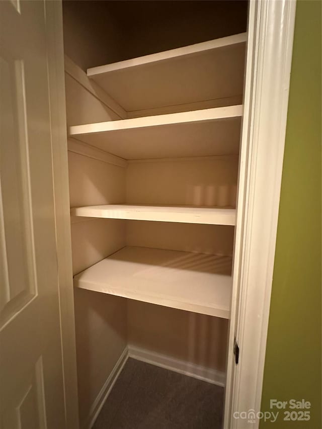1590 Springpoint Rd Unit B, Rock Hill, SC 29732 - view of closet