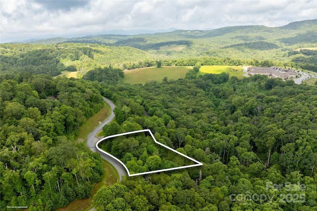 TBDLOT217 Thunderhill Trl Unit 217, Blowing Rock, NC 28605 - photo 2