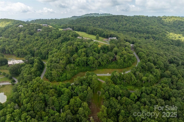 TBDLOT217 Thunderhill Trl Unit 217, Blowing Rock, NC 28605 - photo 4