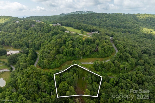 TBDLOT217 Thunderhill Trl Unit 217, Blowing Rock, NC 28605 - photo 5