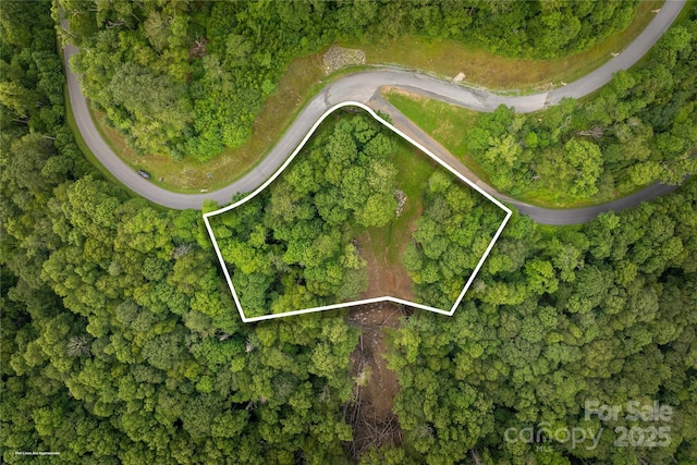 TBDLOT217 Thunderhill Trl Unit 217, Blowing Rock, NC 28605 - photo 6