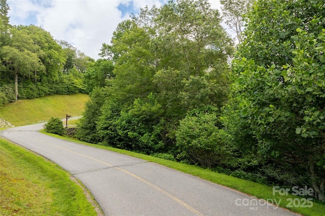 TBDLOT217 Thunderhill Trl Unit 217, Blowing Rock, NC 28605 - photo 1