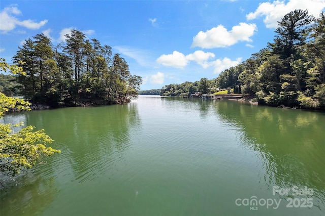 1181 Forest Lake Heights Dr, Nebo, NC 28761 - water view with a heavily wooded area