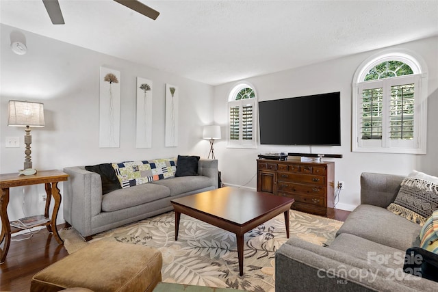 1181 Forest Lake Heights Dr, Nebo, NC 28761 - living area featuring plenty of natural light, wood finished floors, and ceiling fan