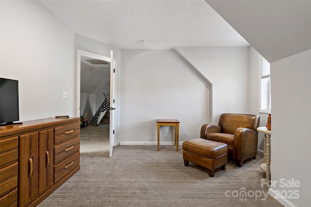 1181 Forest Lake Heights Dr, Nebo, NC 28761 - living area featuring carpet flooring and baseboards