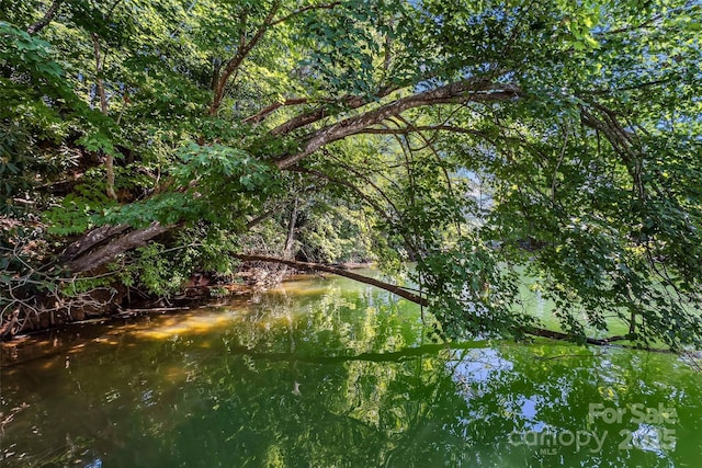 1181 Forest Lake Heights Dr, Nebo, NC 28761 - view of local wilderness