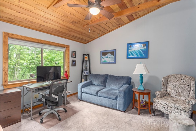 294 Gadohi Trl, Maggie Valley, NC 28751 - photo 20