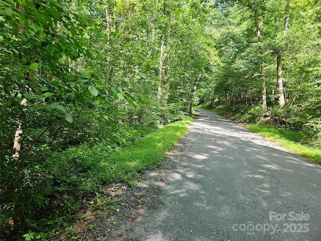 0 Sandpiper Ave Unit 163, Lake Lure, NC 28746