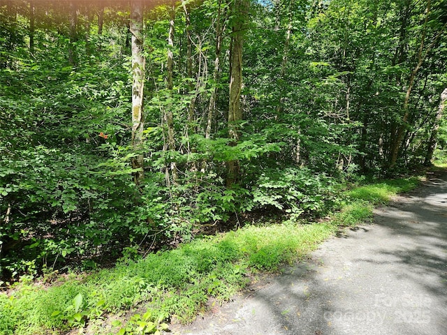 0 Sandpiper Ave Unit 163, Lake Lure, NC 28746