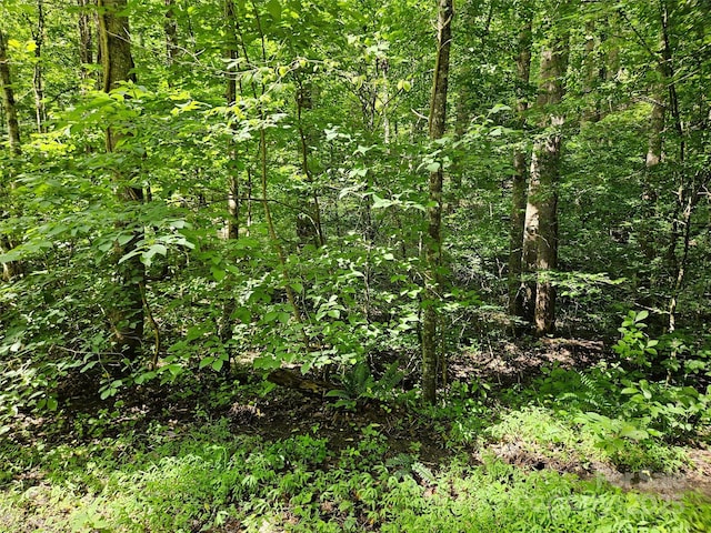 0 Sandpiper Ave Unit 163, Lake Lure, NC 28746