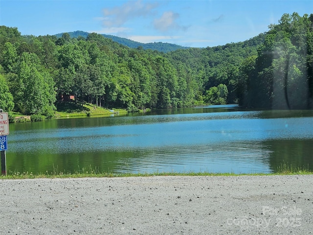 0 Sandpiper Ave Unit 163, Lake Lure, NC 28746