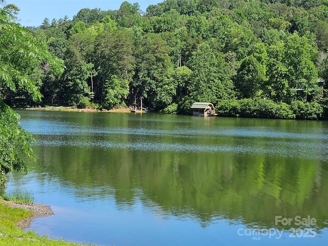 0 Sandpiper Ave Unit 163, Lake Lure, NC 28746