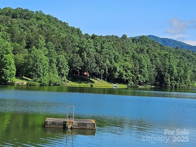 0 Sandpiper Ave Unit 163, Lake Lure, NC 28746
