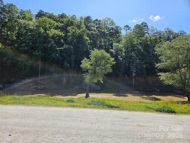0 Sandpiper Ave Unit 163, Lake Lure, NC 28746