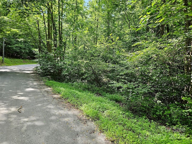 0 Sandpiper Ave Unit 163, Lake Lure, NC 28746