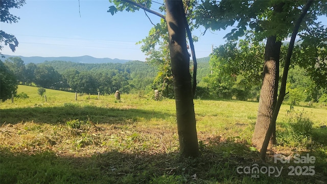 379 Pollard Mine Rd, Burnsville, NC 28714 - photo 3