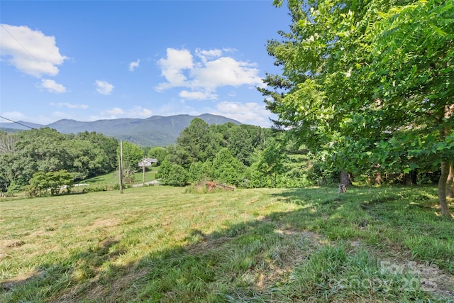 379 Pollard Mine Rd, Burnsville, NC 28714 - photo 4