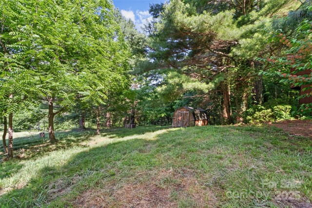 379 Pollard Mine Rd, Burnsville, NC 28714 - photo 31