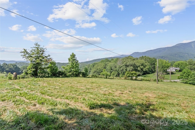 379 Pollard Mine Rd, Burnsville, NC 28714 - photo 32