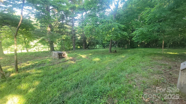 379 Pollard Mine Rd, Burnsville, NC 28714 - photo 33